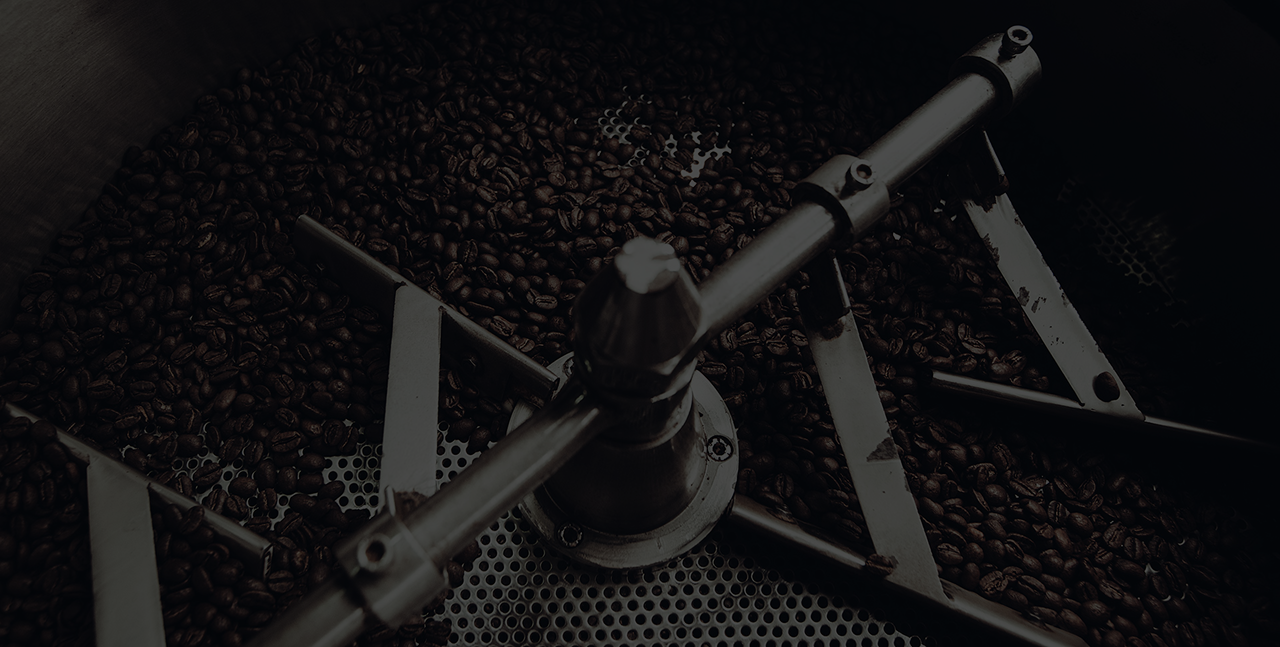 Robusta Coffee Plant